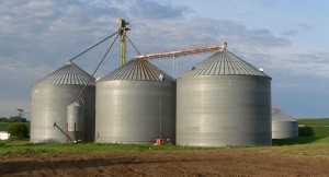 Grain bins in Sholes, Nebraska. Source: Wikipedia commons